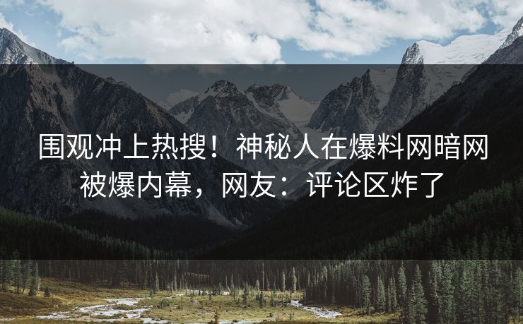 围观冲上热搜！神秘人在爆料网暗网被爆内幕，网友：评论区炸了