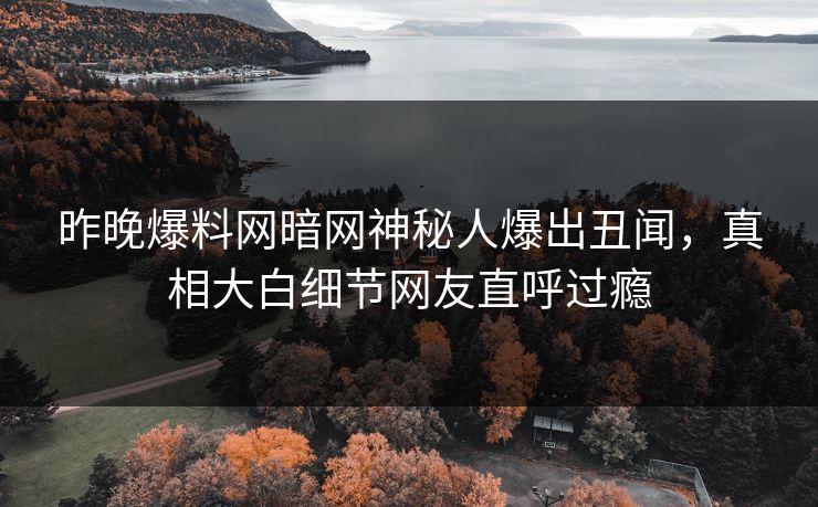 昨晚爆料网暗网神秘人爆出丑闻，真相大白细节网友直呼过瘾