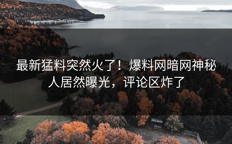 最新猛料突然火了！爆料网暗网神秘人居然曝光，评论区炸了