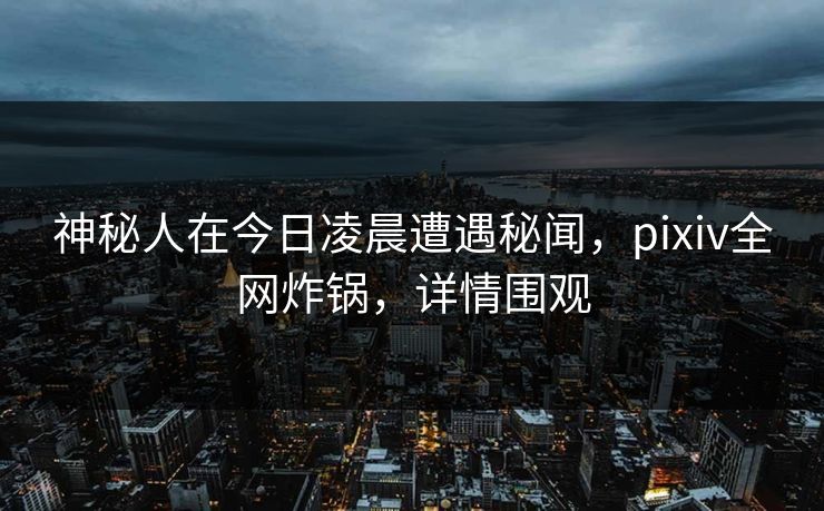 神秘人在今日凌晨遭遇秘闻，pixiv全网炸锅，详情围观
